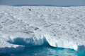 Polar Bear on Iceberg