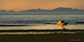 Cook Inlet Landscape