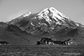 Duck Island and Mount Redoubt