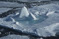 Pack Ice North of Svalbard