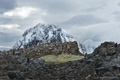 Gentoo Penguins, Booth Island