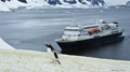 Gentoo Penguin and MS National Geographic Explorer