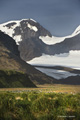 South Georgia Landscape