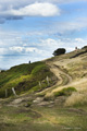 New Island, Falklands, Landscape