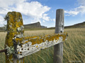 New Island, Falklands, Landscape