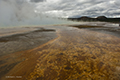 Yellowstone National Park