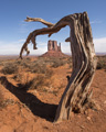 West Mitten Butte