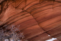 Paw Hole (Coyote Buttes South)