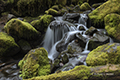 Cascading Creek, Sol Duc Bridge