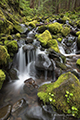 Cascading Creek, Sol Duc Bridge