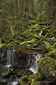 Cascading Creek, Sol Duc Bridge