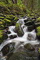 Cascading Creek, Sol Duc Bridge