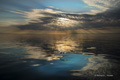 Late Evening in Baffin Bay