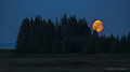 Silver Salmon Creek Moonrise